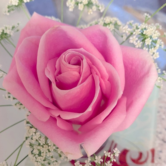 Meet your Posher, Nina - Picture 1 of 1